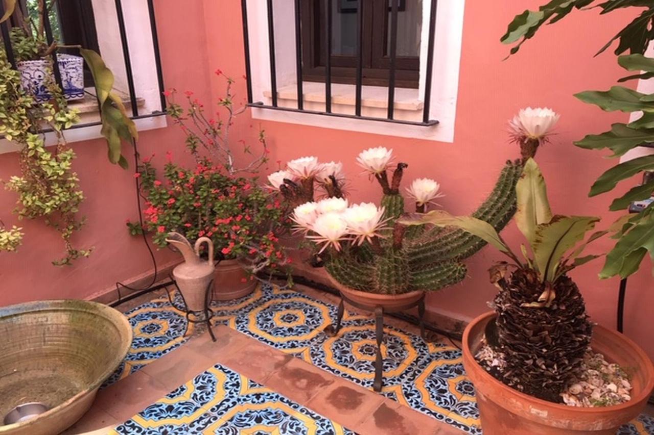 La Cortijera Villa Benidoleig Ngoại thất bức ảnh